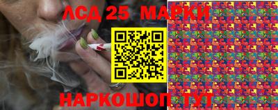 гашик Гай