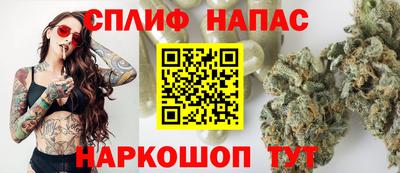 гашик Гай