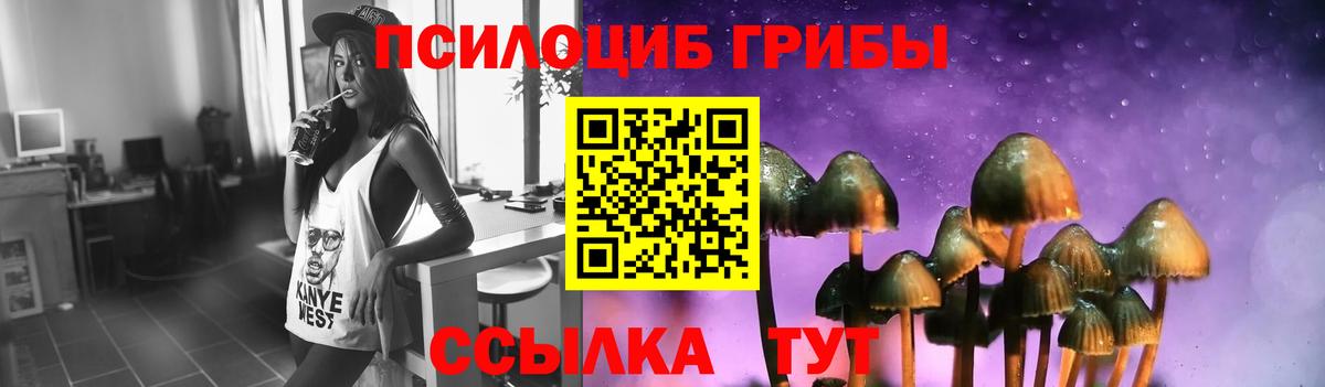 Псилоцибиновые грибы мицелий  купить закладку  Волжский  Вход с VPN 